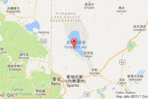 薩利夫港口查詢_saleef港口代碼_也門薩利夫港口代碼